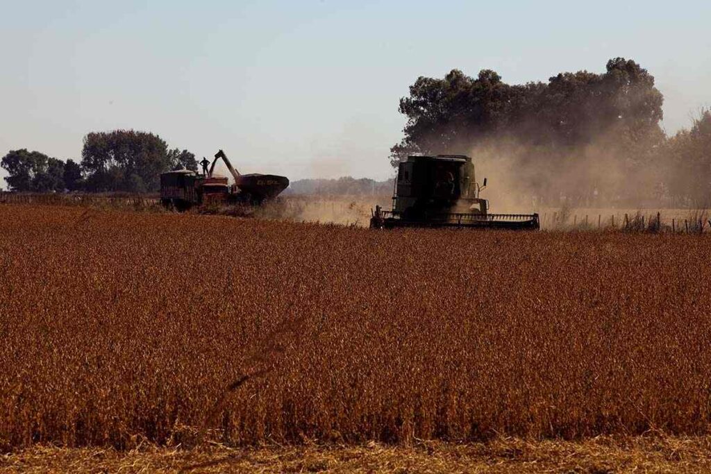 panorama volver siglo19 modelo agroexportador 003politica anti campesino indigena 01 1024x683 1