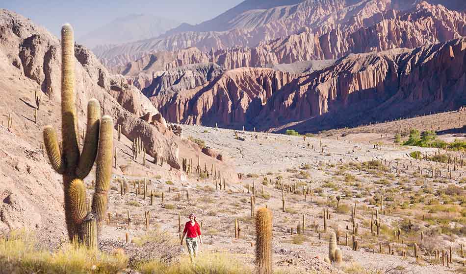 Turismo Salta San Antonio de los Cobres