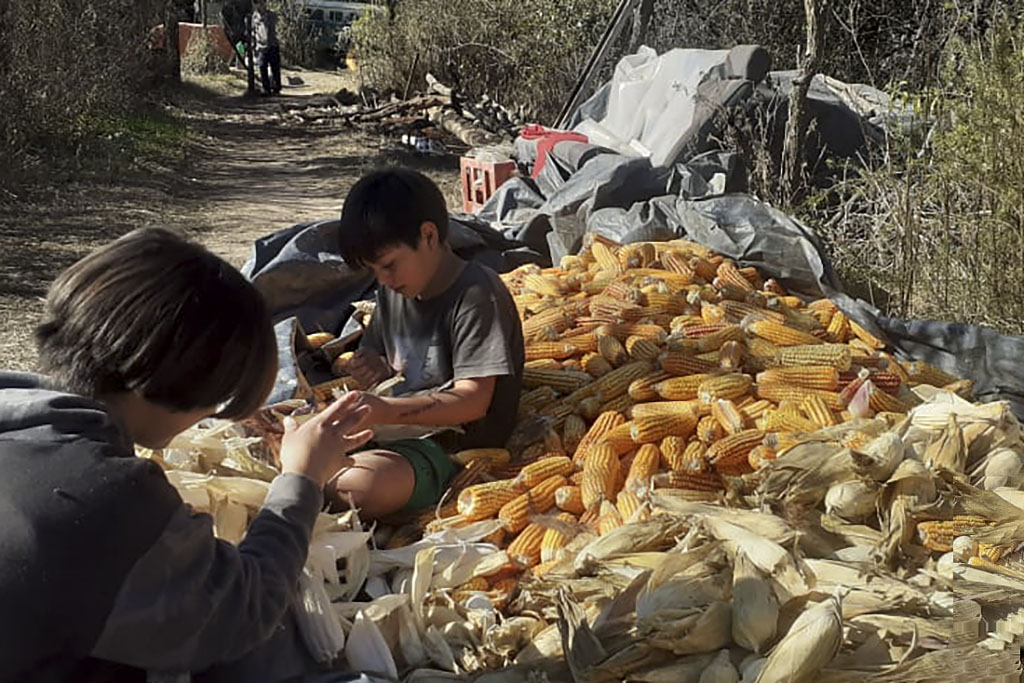 vecinos feed lot catamarca 02