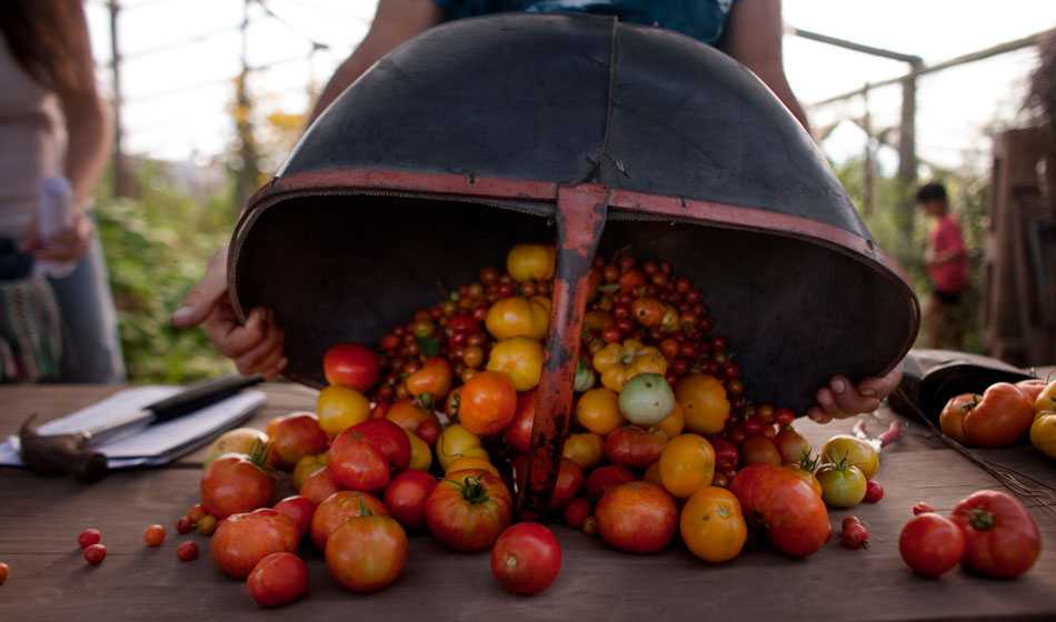 Foto Nicolas Pousthomis Minga. Fotos libres para la soberania alimentaria y el buen vivir