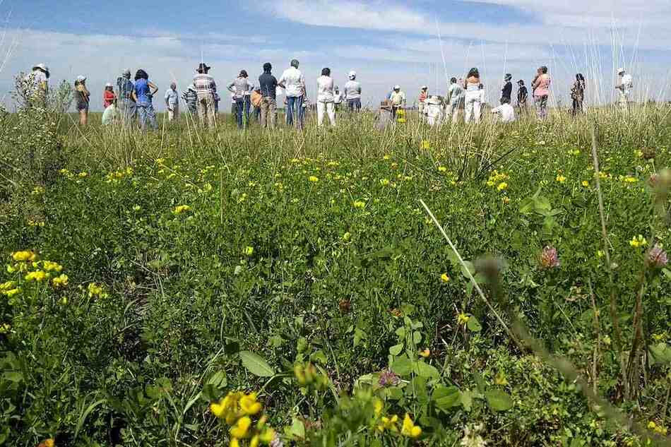 agroecología