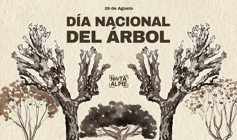 EDITABLE DESTACADA 29 08 Dia nacional del arbol Gri Sel