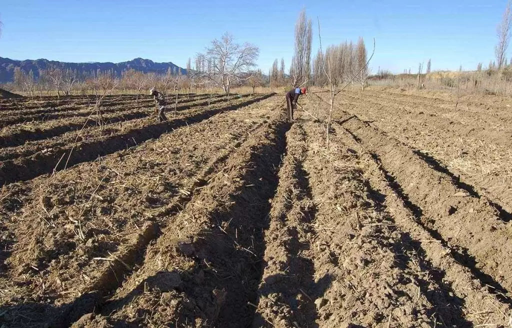 agricultura familiar desafios problematica 01