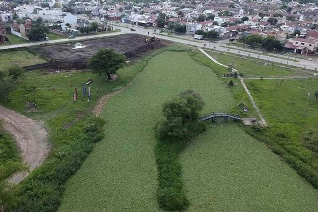 laguna francia chaco resistencia sujeto de derecho 04 1024x683 1