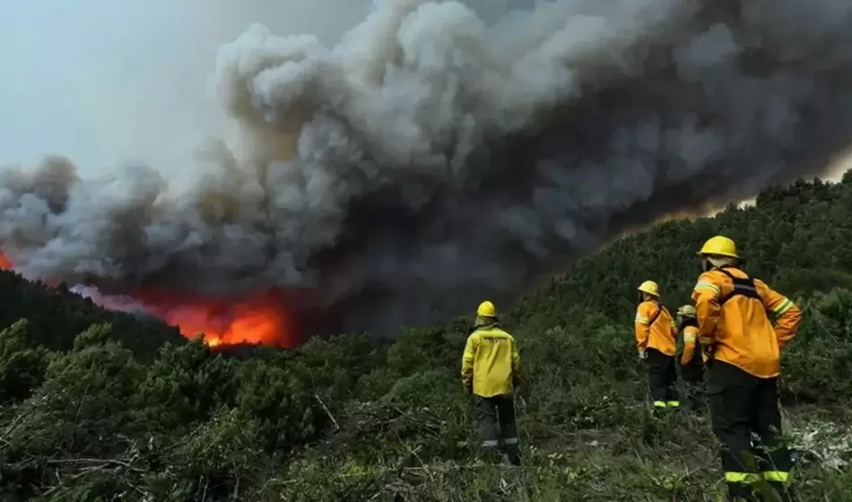 incendios forestales